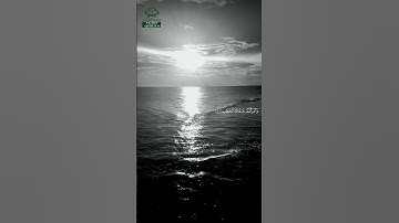 سورة المسد • مكية • بصوت ياسر الدوسري | عدد الآيات: 5 #قرآن #Quran #تلاوة #قرآن_كريم #المسد