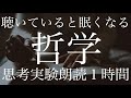 聴いてると眠くなる哲学的思考実験２７選【雑学朗読】【作業用・睡眠用】