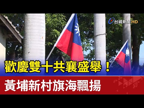 歡慶雙十共襄盛舉！ 黃埔新村旗海飄揚