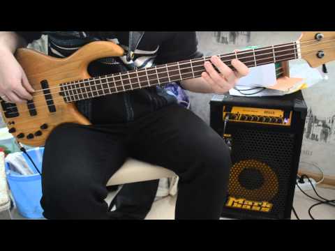 Gloria Estefan Rhythm S Gonna Get You Bass Cover 