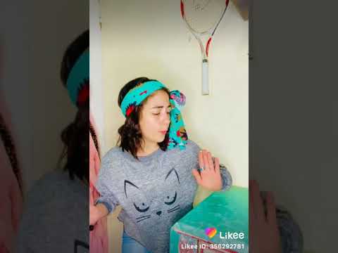 أربع فرحات ودجاجه ومحدش ذاكر حاجه