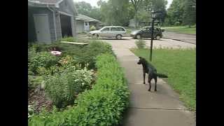 CIMG1922.AVI