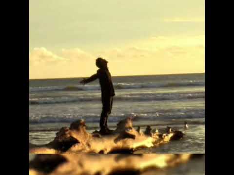 Biarlah waktu yang akan Menjawab semuanya