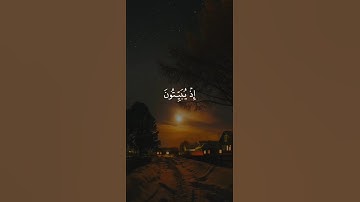 اكتب شيء تؤجر عليه 😴🩶 القارئ ياسر الدوسري