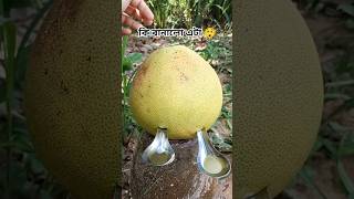 কি বানালো এটা 😲😮 #banglanajmulteach #viralbanglasong #banglamusicvideo #amazing #shorts #banglashort
