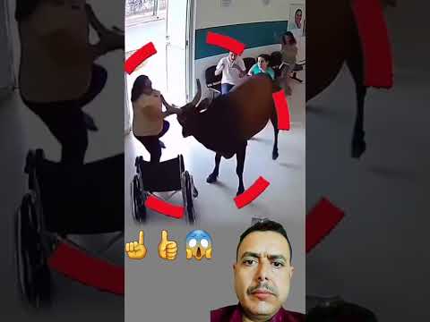 ظن ه خطر ا محقق ا فسبقه لطف الله وكتب النجاة 