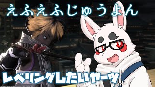 【FF14】レベリングを手伝ってくれる人がいたらとっても嬉しいな