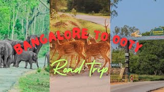 Bangalore To Ooty Road Trip 2023Road Trip From Bangalorebandipuramadumalaitiger Reservekannada
