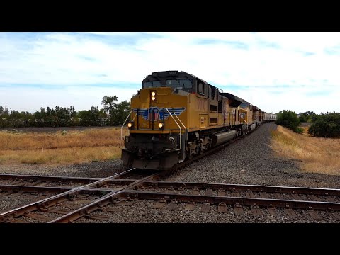 4K Ultra HD 60FPS: Railfanning Binney Junction Marysville, CA Ft. Union Pacific & BNSF Freight Train