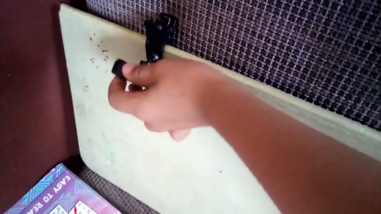 Survive the Night | 2023