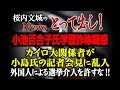 【桜内文城のNewsとって出し！】【小池百合子氏学歴詐称疑惑】カイロ大関係者が小島氏の記者会見に乱入　外国人による選挙介入を許すな!!