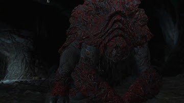 The Witcher 3: The Tufo monster contract