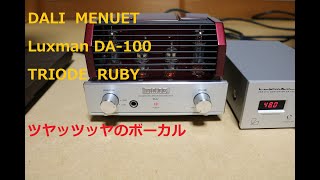 つやっつやのボーカル　 DALI MENUET　を　TRIODE　RUBY　真空管アンプで聴く