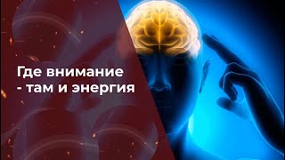 Там где внимание, там и энергия, из этого состоит ваша жизнь. Практика.