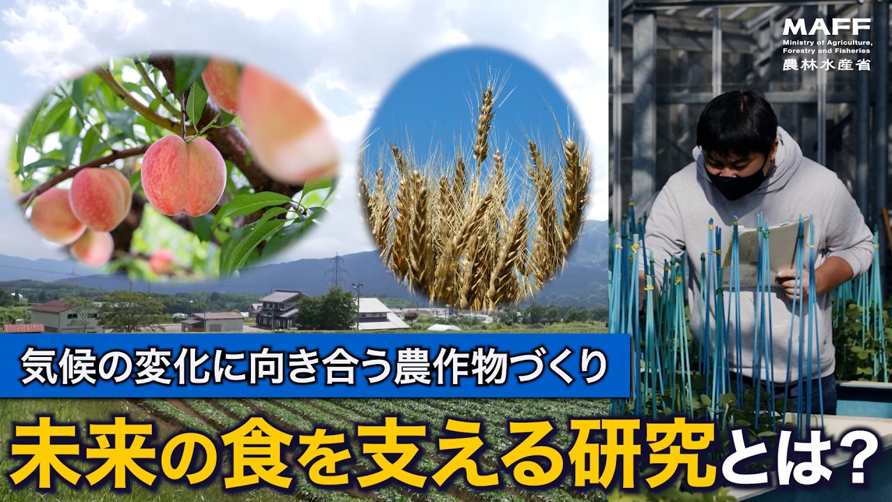 農林水産技術会議ホームページ