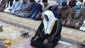 صلاة العشاء - القارئ رشيد القليب | #زد_رصيدك47