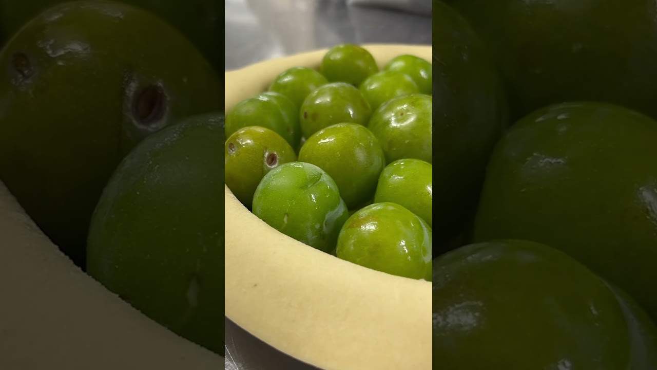 Fabrication de notre pâté aux prunes Maison Bécam