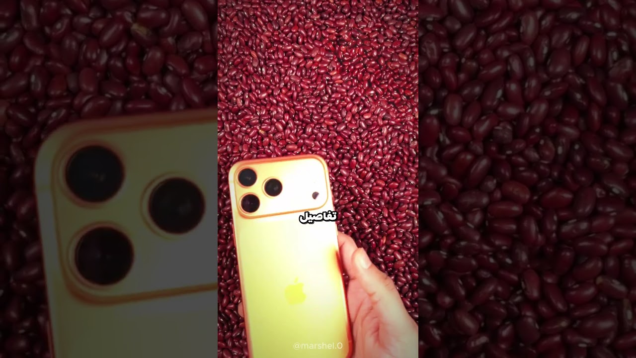 نفس الشيء… لكن شوف الفرق بين كاميرات الجوالات !📱