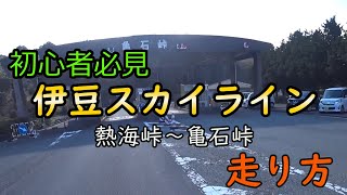 《初心者必見》伊豆スカイラインの走り方熱海峠〜亀石峠【モトブログ】