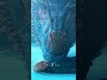 Daenerys Targaryen Death Seen Game Of Thrones Full Screen Whatsapp Status In 4k 60fps 