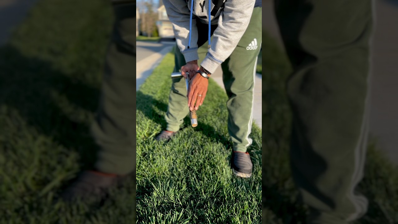 BEST Organic Lawn Fertilizer 