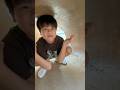 【衝撃】「キジムナー見つけた！」と叫ぶ息子。恐る恐る穴の中を覗いてみたら…ｗｗ #ヤバイヤバイ構文 #沖縄