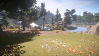 Rust: Quick look at bullet flybys