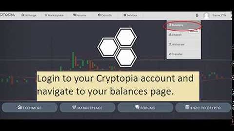 Send Electroneum from Cryptopia to your wallet - GameETN
