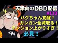 【朝からコソ練】天津向のデッドバイデイライト配信#113【キラーをやります】