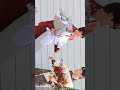 jhope discharge nostalgia #jhope #jungkook #jimin #jin #suga #taehyung #rm #viral #video #viralvideo