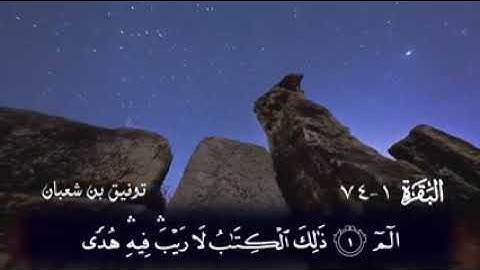 ماتيسر من سورة البقرة . توفيق بن شعبان