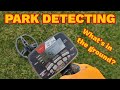 Park Detecting, what's in the ground?