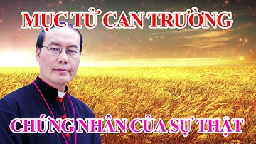 🔴Tin hay: Đức Tổng Giám Mục Giuse Ngô Quang Kiệt, chứng nhân lịch sử của niềm tin Kitô giáo