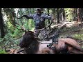 Oregon Public Land DIY Archery Elk Hunt