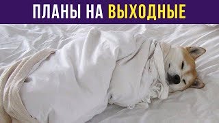 Приколы. Планы на выходные | Мемозг #31 Приколы. Планы на выходные | Мемозг #31