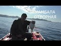 КАМБАЛА ОТБОРНАЯ, ОСЕННЯЯ! КРУПНЯК ГНЁТ УДОЧКИ!03.09.2021г