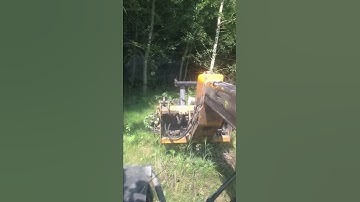 Tree removal with Dymax tree shear on jcb telehandler - Devizes