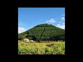 奥田民生  - リー!リー!リー! (AM ver.)