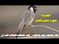 صوت صفير البلبل اصعب قصيده للاصمعي 