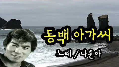 동백아가씨 나훈아 동백아가씨 나훈아