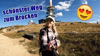 🌲 Wohin des Weges #31 - Ilsenburg - Brocken [HARZ]