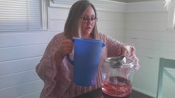 Cycle 1 Week 4 Science 5th Edition