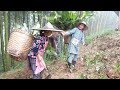 农村四哥:王四爸妈办猪食,小姨子跟着帮忙,老妈乐的唱起了歌谣