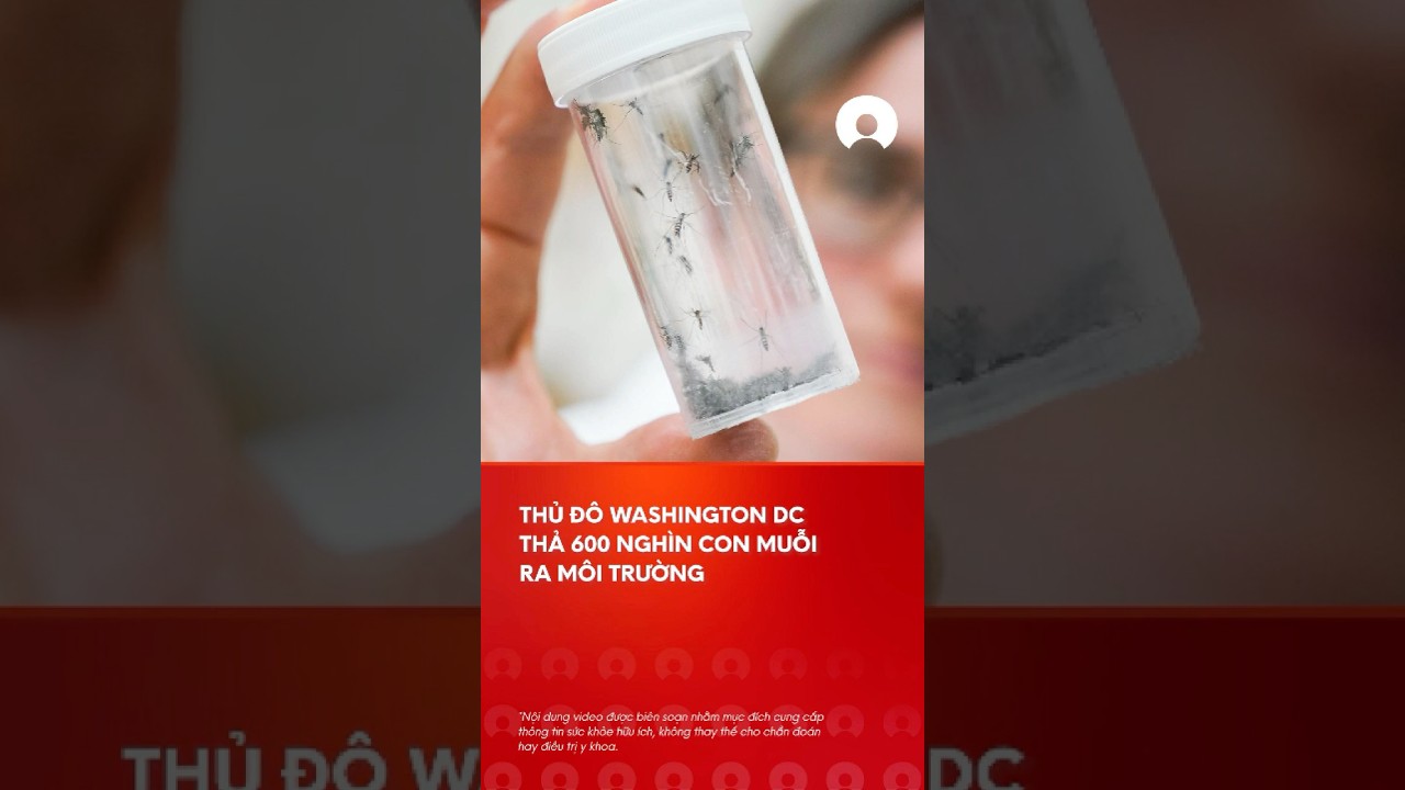 Thá»§ Ä‘Ã´ Washington DC cá»§a Má»¹ tháº£ 600 nghÃ¬n con muá»—i ra mÃ´i trÆ°á»ng #washingtondc #mosquito