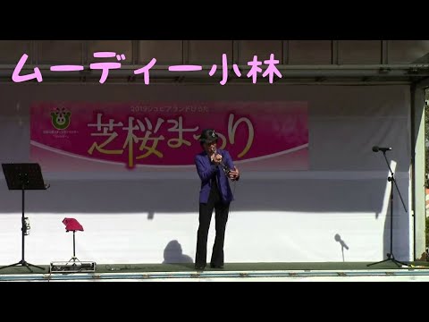 コモエスタ赤坂 トランペットカバー/ムーディー小林/芝桜まつり/ジュピアランドひらた