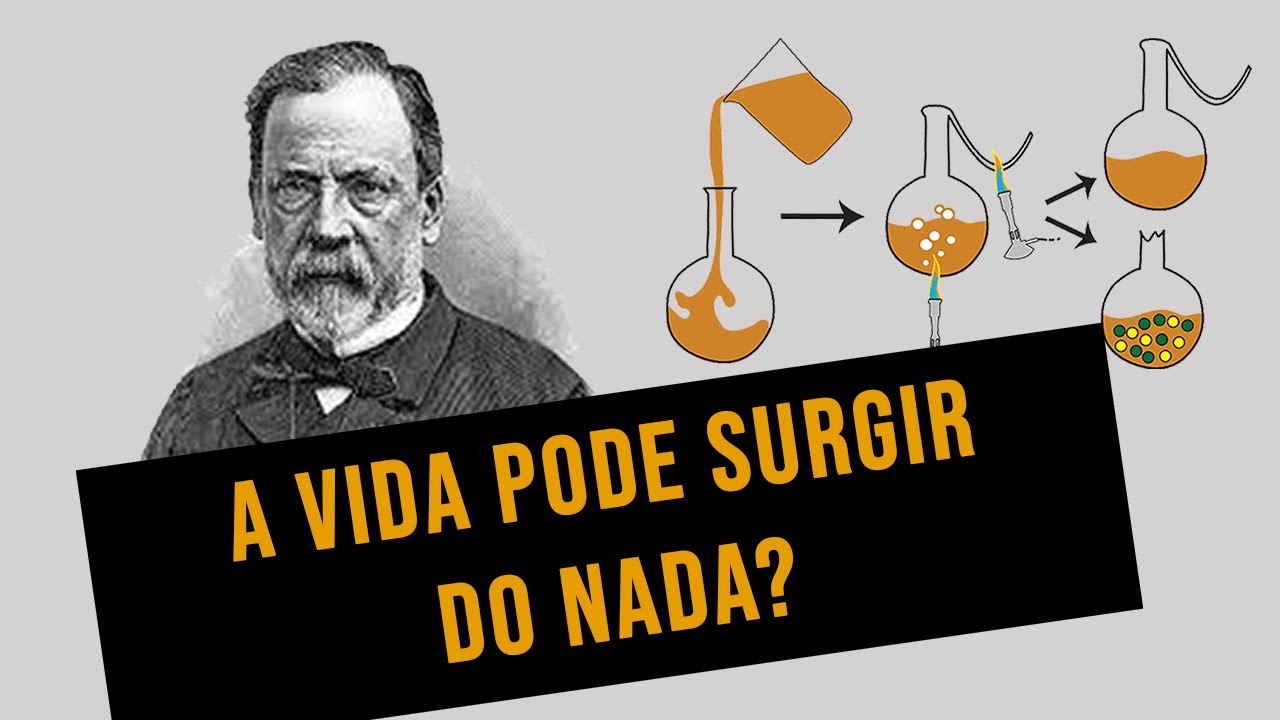GERAÇÃO ESPONTÂNEA Uma Visão Mais Profunda Sobre o Tema YouTube GERAÇÃO ESPONTÂNEA Uma Visão Mais Profunda Sobre o Tema YouTube