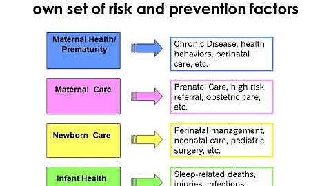 Perinatal Periods of Risk (PPOR) Methodology - High-level Overview - DayDayNews