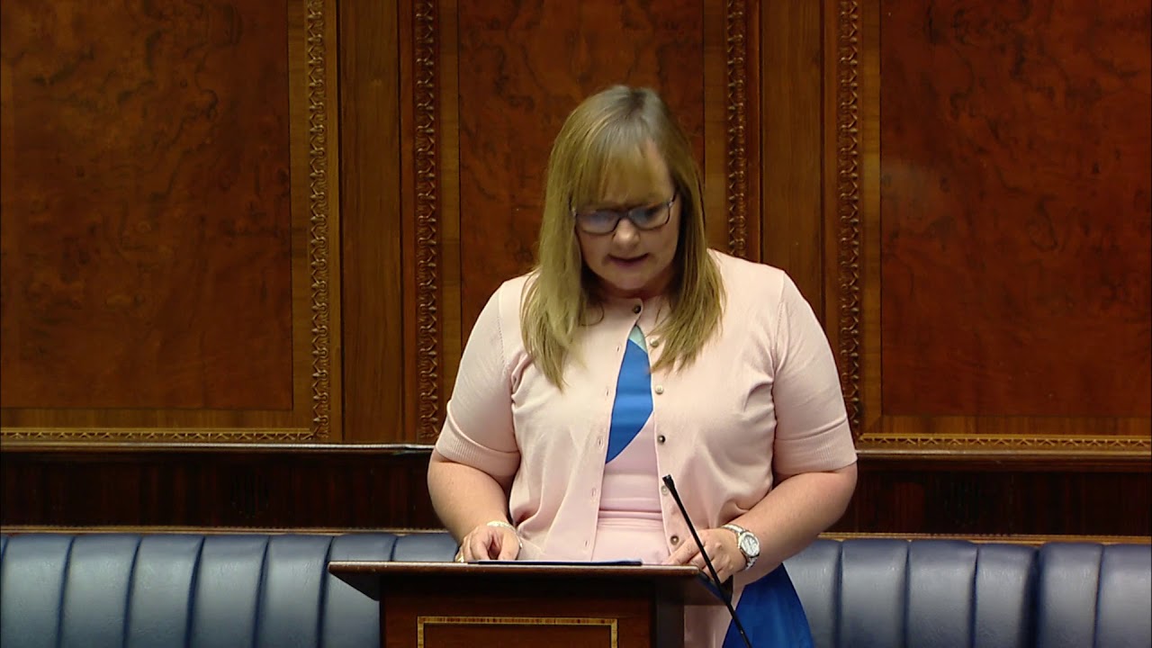 The Motor Vehicles (Wearing of Seat Belts) (Amendment) Regulations (NI