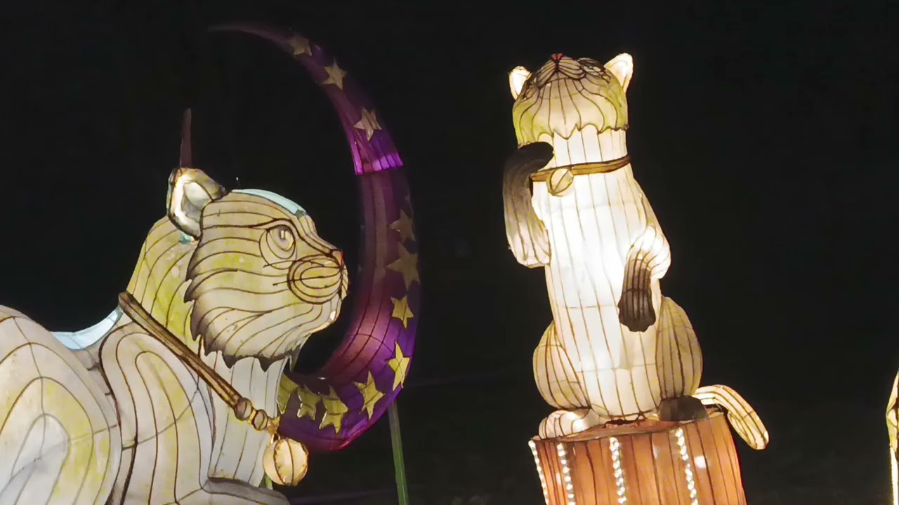 Парк ліхтарів всі фотки!