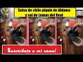 Salsa de chile piquín de Aldama y sal de Lomas del Real